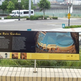 the-rain-garden